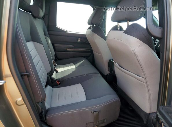 3TMKB5FN2SM052670 2025 TOYOTA TACOMA Brown უკანა სავარძლების ხედი