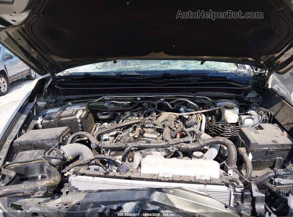 3TMLB5JN0RM049157 2024 TOYOTA TACOMA Green Հետևի տեսք