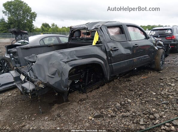 3TMLB5JN1RM028561 2024 TOYOTA TACOMA Gray Tył prawy