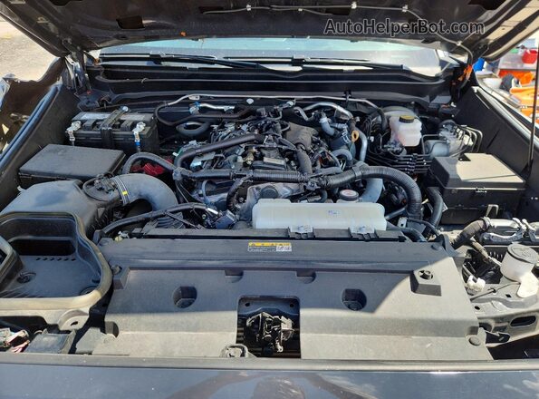 3TMLB5JN1SM094498 2025 TOYOTA TACOMA Gray Vista interior trasera