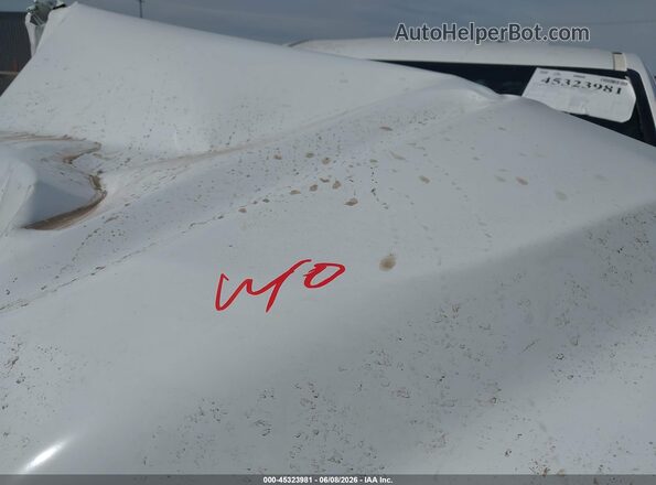 3TMLB5JN1TM260097 2026 TOYOTA TACOMA White Вид ззаду