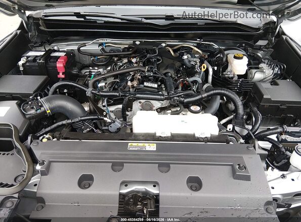 3TMLB5JN2RM053193 2024 TOYOTA TACOMA Gray Widok z tyłu