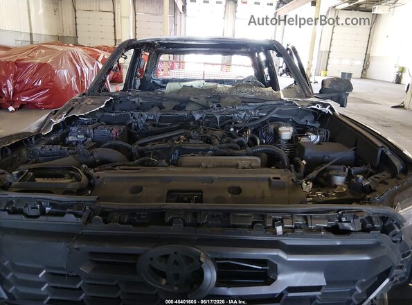 3TMLB5JN2RM084458 2024 TOYOTA TACOMA Black Widok z tyłu