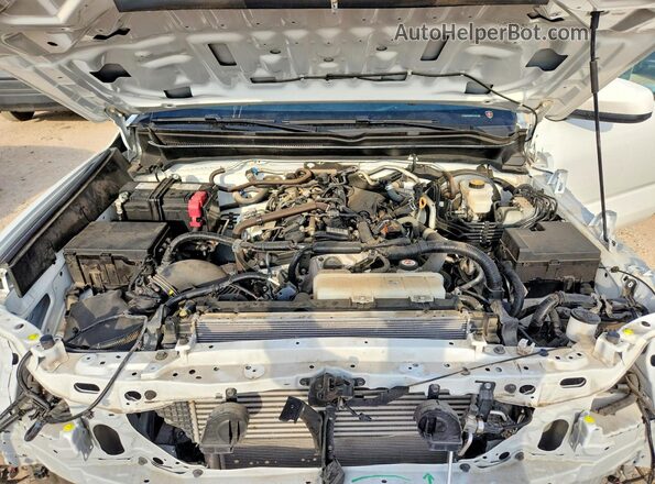3TMLB5JN3RM010238 2024 TOYOTA TACOMA White Вид задньої частини салону