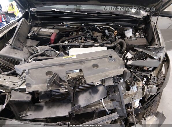 3TMLB5JN4SM092776 2025 TOYOTA TACOMA Green Rear view