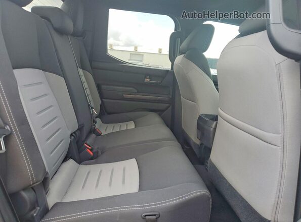 3TMLB5JN5RM043158 2024 TOYOTA TACOMA Silver 