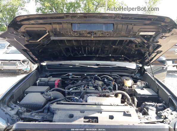 3TMLB5JN5RM070926 2024 TOYOTA TACOMA Black Вид ззаду