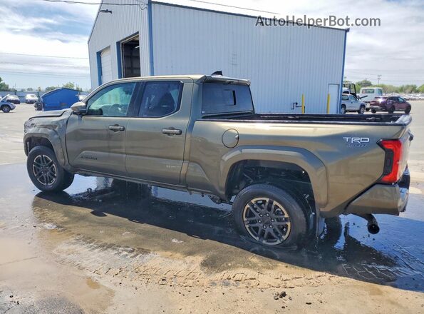 3TMLB5JN7RM058597 2024 TOYOTA TACOMA Green 