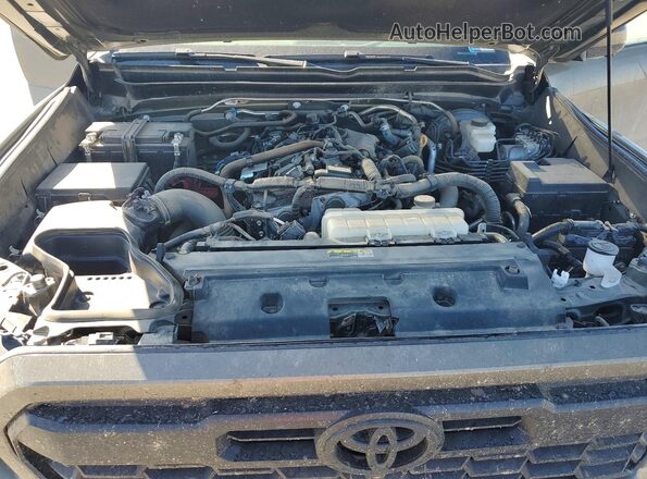 3TMLB5JN7RM058597 2024 TOYOTA TACOMA Green 