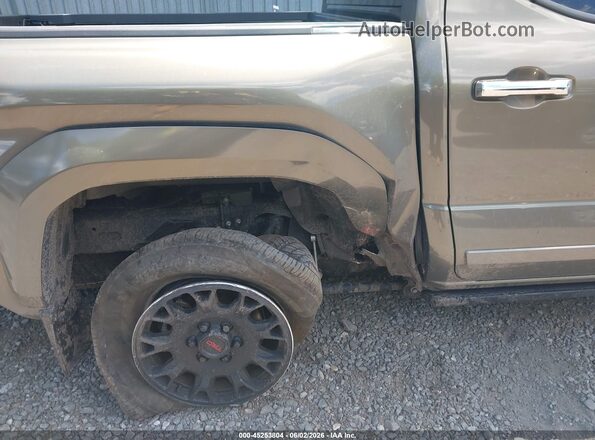 3TMLB5JN7RM070961 2024 TOYOTA TACOMA Brown Widok z przodu
