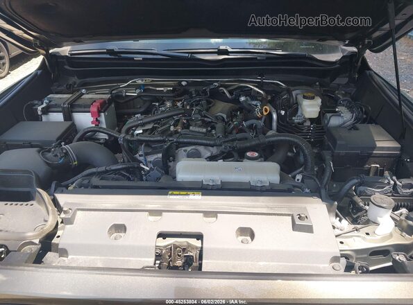 3TMLB5JN7RM070961 2024 TOYOTA TACOMA Brown Widok z tyłu