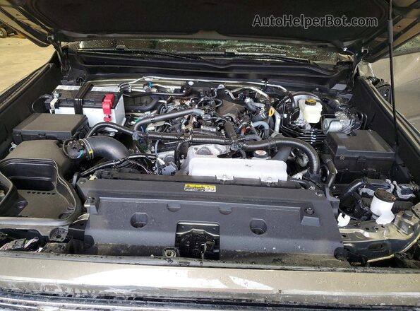 3TMLB5JN7TM255129 2026 TOYOTA TACOMA Green Вид задньої частини салону