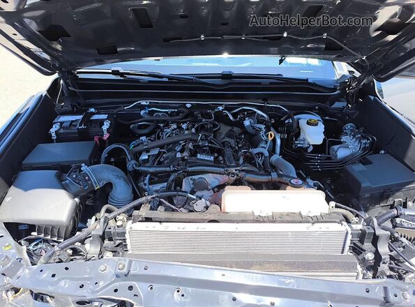 3TMLB5JN9RM007750 2024 TOYOTA TACOMA Gray 