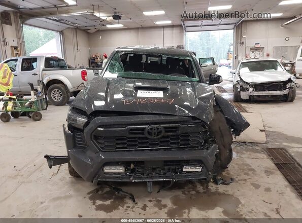 3TMLB5JNXRM012388 2024 TOYOTA TACOMA Gray Դիմացի տեսք