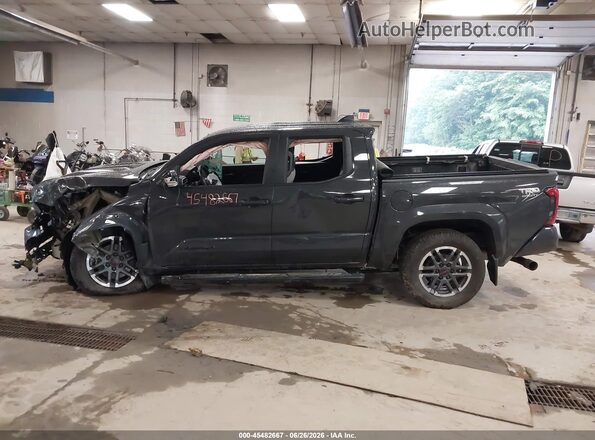 3TMLB5JNXRM012388 2024 TOYOTA TACOMA Gray Սալոնի հետևի տեսք