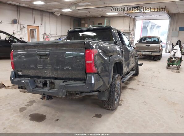 3TMLB5JNXRM012388 2024 TOYOTA TACOMA Gray Հետևի աջ