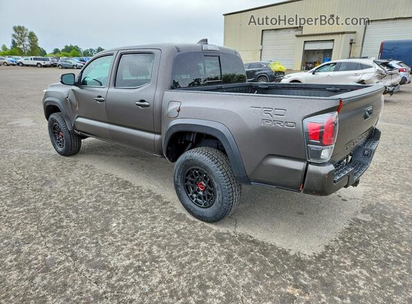 3TYCZ5AN4PT113195 2023 TOYOTA TACOMA Коричневый Задняя левая четверть