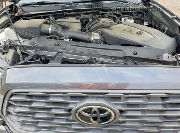 3TYCZ5AN5PT136436 2023 TOYOTA TACOMA Charcoal Սալոնի հետևի տեսք
