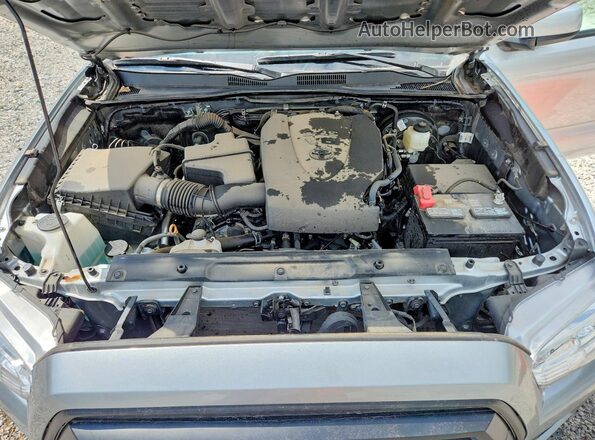 3TYCZ5AN5PT177388 2023 TOYOTA TACOMA Silver Սալոնի հետևի տեսք
