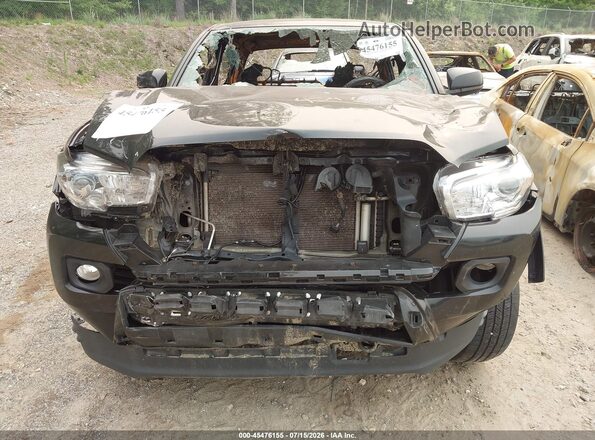 3TYCZ5AN6PT128457 2023 TOYOTA TACOMA Black Front view