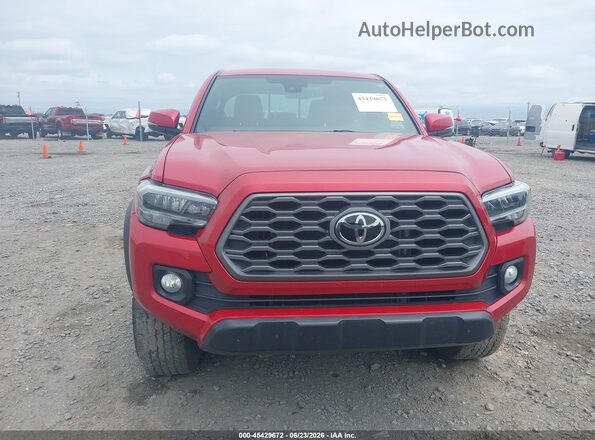 3TYCZ5AN6PT172684 2023 TOYOTA TACOMA Red Вид задньої частини салону