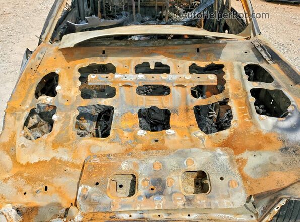 3TYCZ5AN9MT012553 2021 TOYOTA TACOMA Burn Սալոնի հետևի տեսք
