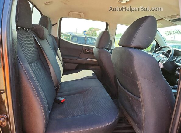 3TYCZ5AN9PT117145 2023 TOYOTA TACOMA Black Вид задніх сидінь