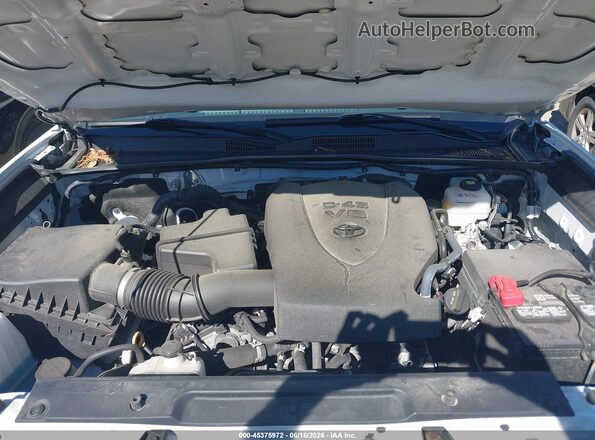 3TYDZ5BN2PT022400 2023 TOYOTA TACOMA White Widok z tyłu