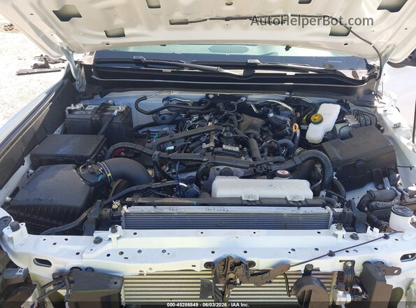3TYJDAKN7RT009168 2024 TOYOTA TACOMA White Вид ззаду