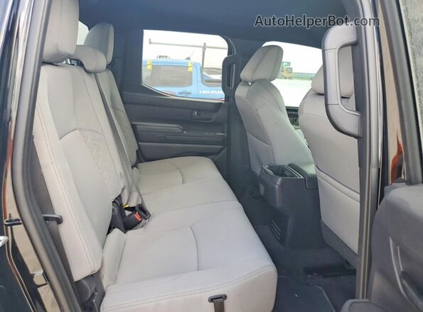 3TYKB5FNXST024815 2025 TOYOTA TACOMA Black Rear seats view