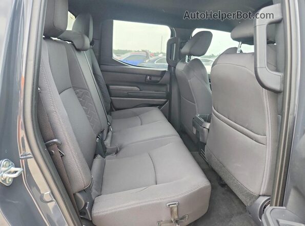 3TYKD5HN9ST020021 2025 TOYOTA TACOMA Серый Вид задних сидений