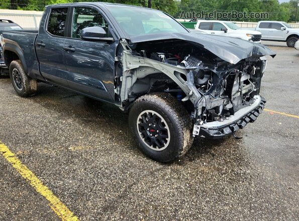 3TYLB5JN8ST095460 2025 TOYOTA TACOMA Gray 