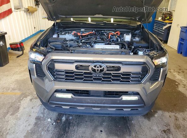 3TYLC5LN1RT006493 2024 TOYOTA TACOMA Green უკანა სალონის ხედი