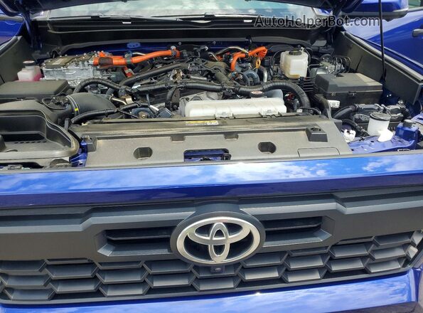 3TYLC5LN1ST016351 2025 TOYOTA TACOMA Blue Rear interior view