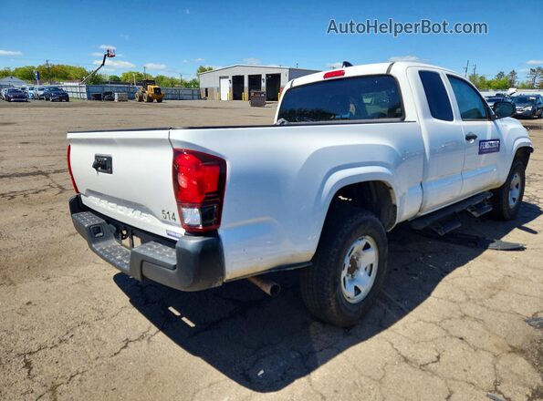 3TYRX5GN5PT076164 2023 TOYOTA TACOMA Белый 