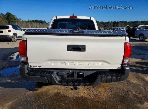 3TYRX5GN7PT083455 2023 TOYOTA TACOMA White Вид ззаду