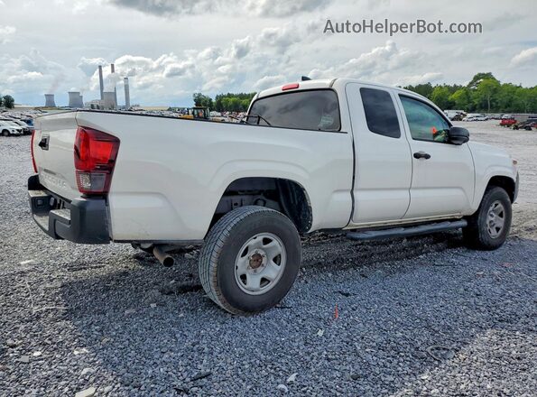 3TYRX5GN8NT049036 2022 TOYOTA TACOMA White Հետևի աջ