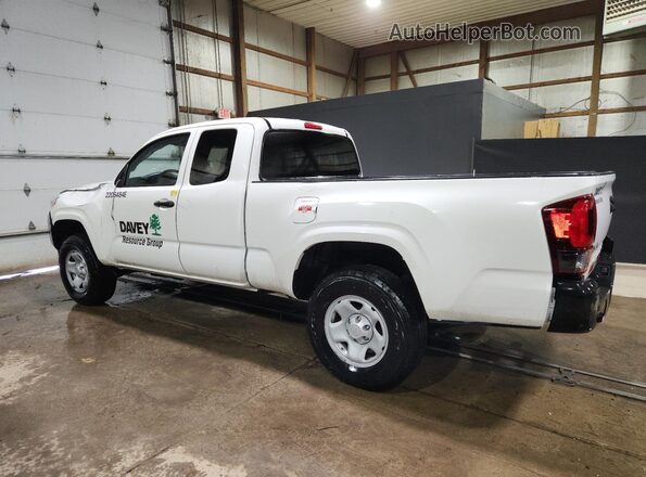 3TYSX5EN1PT020517 2023 TOYOTA TACOMA Белый 