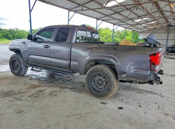 3TYSX5EN2MT005987 2021 TOYOTA TACOMA Gray Հետևի ձախ