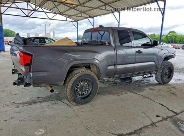 3TYSX5EN2MT005987 2021 TOYOTA TACOMA Gray Հետևի աջ