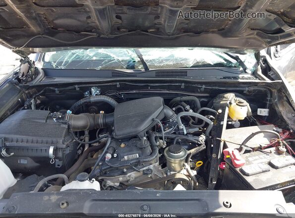 3TYSX5EN3MT006145 2021 TOYOTA TACOMA Gray უკანა ხედი