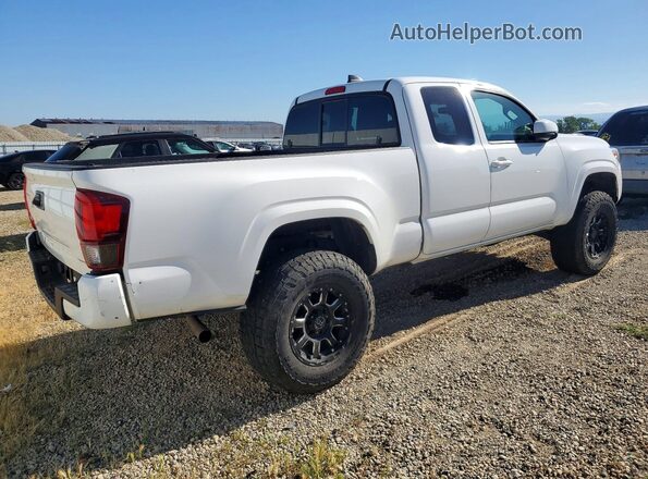 3TYSX5EN4PT019457 2023 TOYOTA TACOMA White Tył prawy