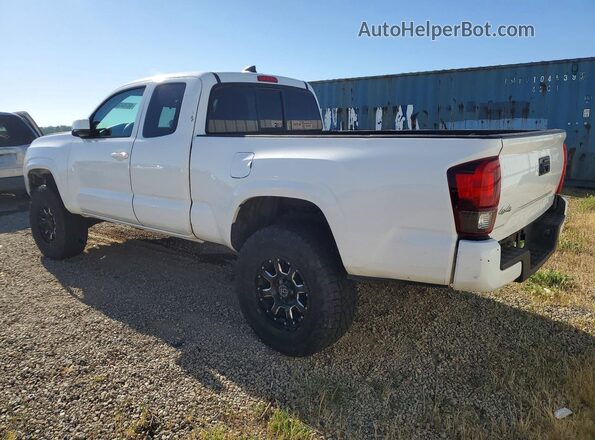 3TYSX5EN4PT019457 2023 TOYOTA TACOMA White Tył lewy