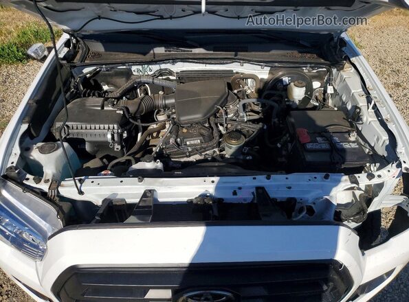 3TYSX5EN4PT019457 2023 TOYOTA TACOMA White Widok wnętrza z tyłu