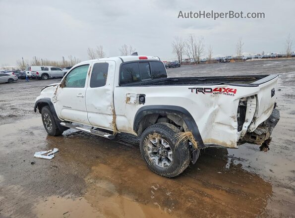 3TYSZ5AN0PT115697 2023 TOYOTA TACOMA White Rear left