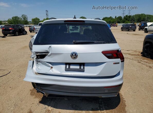 3VV2B7AX4KM072781 2019 VOLKSWAGEN TIGUAN Silver Вид ззаду