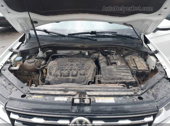 3VV3B7AX6MM031494 2021 VOLKSWAGEN TIGUAN Белый Вид сзади