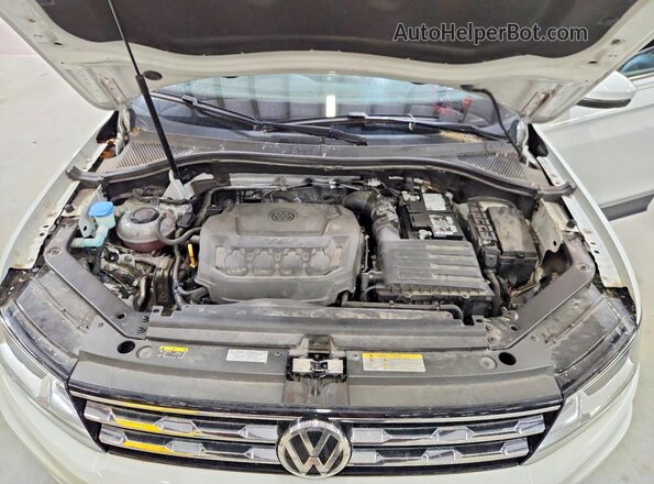 3VV3B7AX6MM066102 2021 VOLKSWAGEN TIGUAN White 