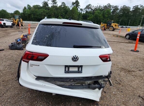 3VV3B7AX7KM145663 2019 VOLKSWAGEN TIGUAN White Вид ззаду
