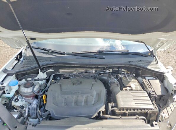 3VV4B7AX6PM016521 2023 VOLKSWAGEN TIGUAN Белый Вид задней части салона